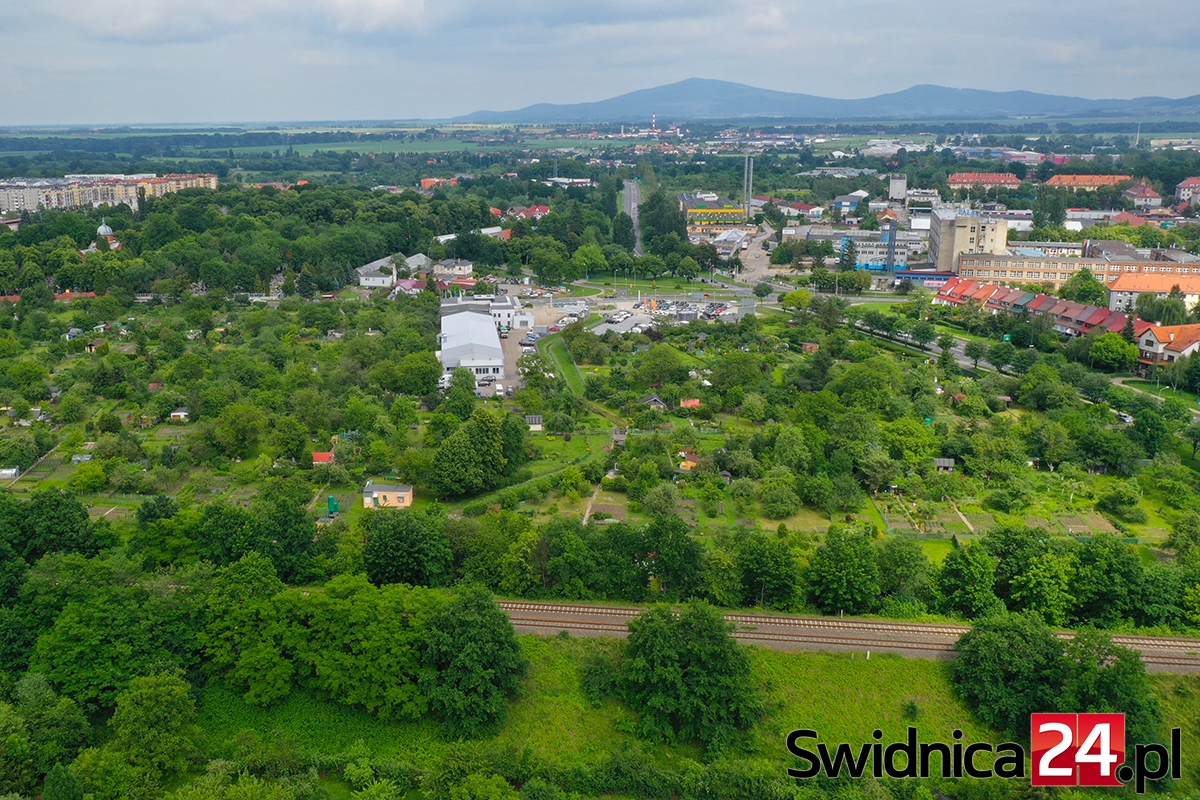 Świdnickie ogrody z dofinansowaniem. Na co trafią pieniądze z budżetu miasta?