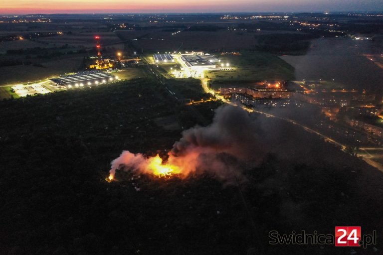 Pożar na terenie ogródków działkowych przy Strzelnicy. Słup dymu nad miastem [FOTO]
