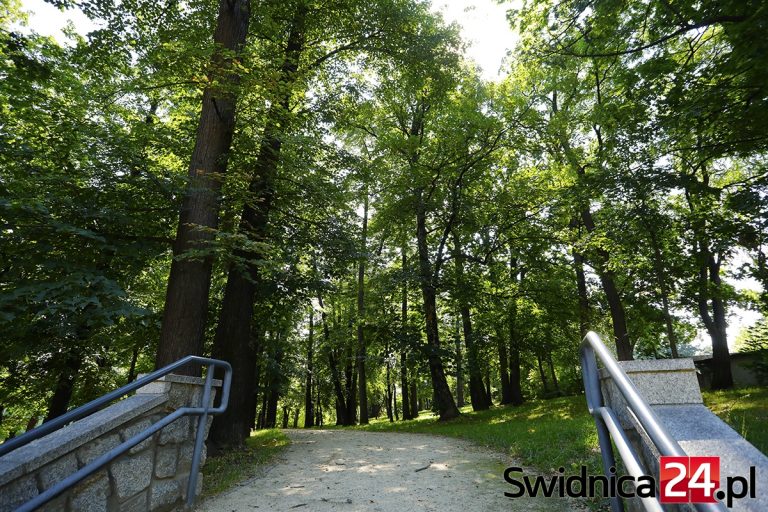 Zielona strona Świdnicy. Park Wrocławski