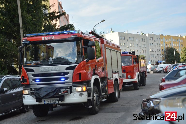 Dziecko postawiło na równe nogi strażaków i policjantów