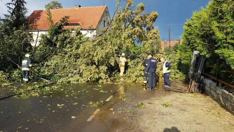 To było jak tornado! Zniszczenia po ulewie i wichurze w ...