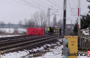 Zignorował rogatki, wjechał pod pociąg mając słuchawki na uszach. Wstępne ustalenia śledczych w sprawie potrącenia w Piotrowicach
