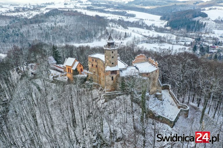 Zamek Grodno wystawiony na licytację