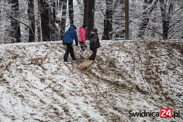 Tłumy w górach, saneczkarze opanowali stoki, ale na świdnickich górkach warunki mało sprzyjające. Jaka będzie pogoda w najbliższych dniach?