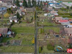 Działkowcy mogą starać się o miejskie dotacje. Do podziału jest 65 tysięcy złotych