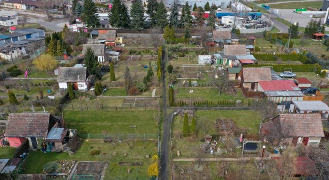 Działkowcy mogą starać się o miejskie dotacje. Do podziału jest 65 tysięcy złotych