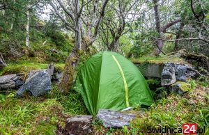 Majówka na łonie natury? Lasy Państwowe rozpoczynają program „Zanocuj w lesie”