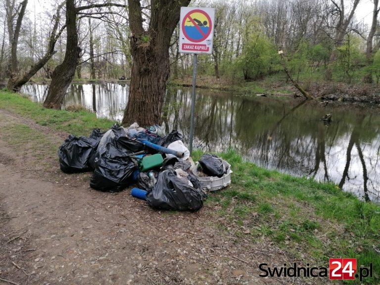 Piknik,160 drzew do posadzenia i sprzątanie Hycla w Świdnicy