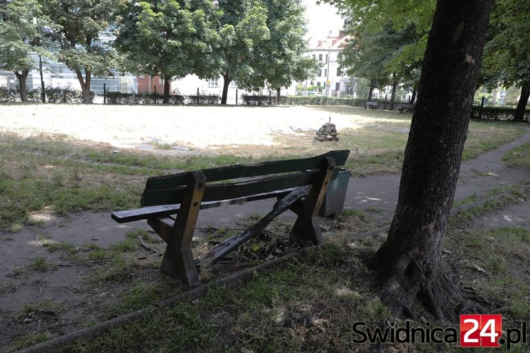 Ogródek jordanowski w opłakanym stanie. Zielony zakątek śródmieścia wciąż czeka na rewitalizację [FOTO]