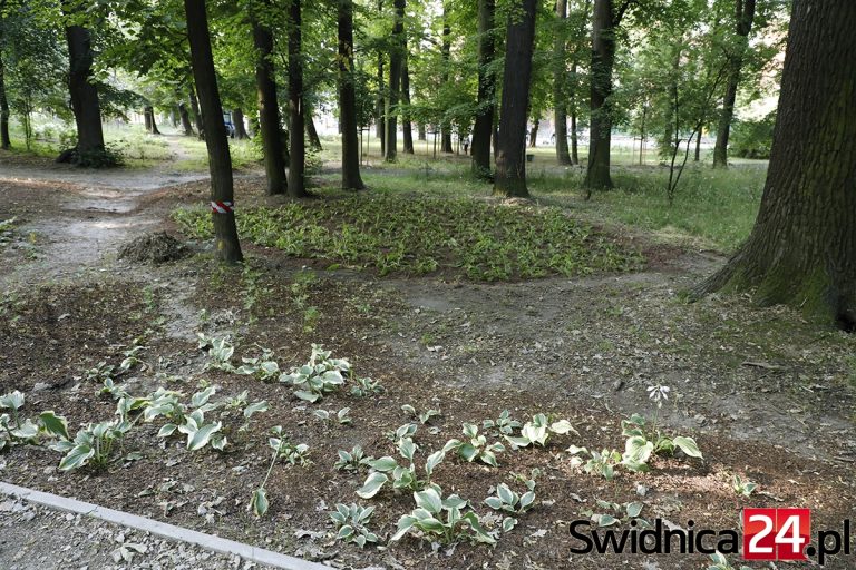 Park Młodzieżowy: Trzecia rewitalizacja bez głowy? [FOTO]