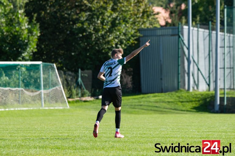 Sięgnęli po zwycięstwo na własnym stadionie