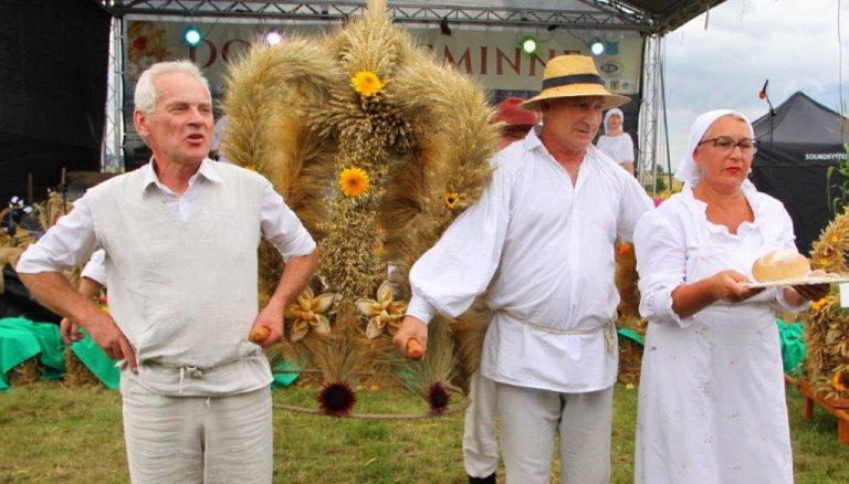 Rusza maraton dożynkowy w powiecie świdnickim [PROGRAMY]