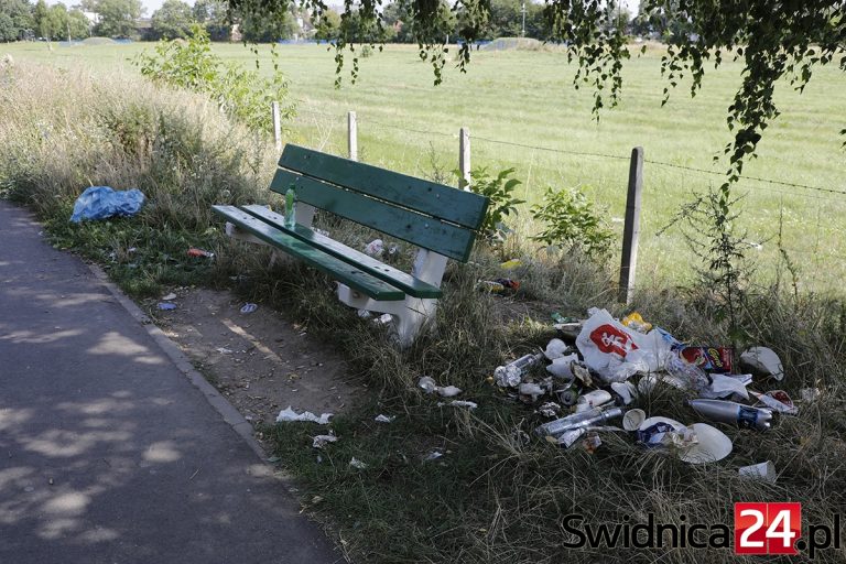 Nie ma mocnych na pijaków i brudasów? Straż miejska zawnioskuje o usuwanie kolejnych ławek [FOTO]