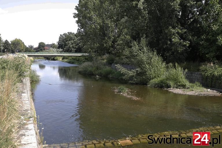 Porządkowanie nabrzeży z problemami. Magistrat wini Wody Polskie [FOTO]