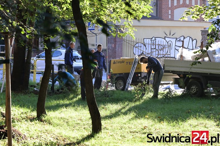 Finał rewitalizacji Parku Młodzieżowego powinien nastąpić dzisiaj. Jest las słupków, prace trwają [FOTO]