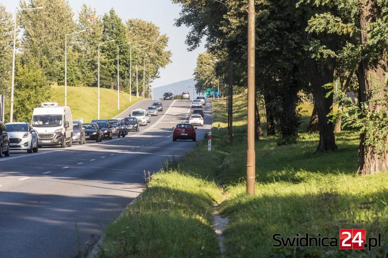 Powstanie ścieżka rowerowa wzdłuż świdnickiego odcinka „trzydziestki piątki”?