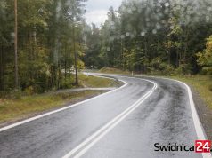 Ścieżka rowerowa połączy Świdnicę z Wałbrzychem? Jest wniosek o budowę brakującego odcinka wzdłuż „modliszówki”