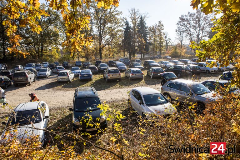 Komunikacja we Wszystkich Świętych. Jak dojechać? Gdzie parkować?