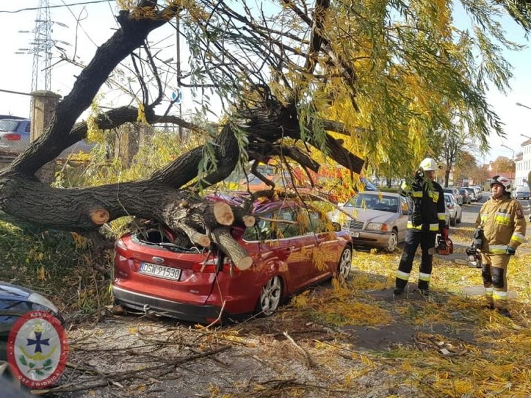 Strażacy podsumowują skutki czwartkowej wichury, synoptycy ponownie ostrzegają [FOTO]