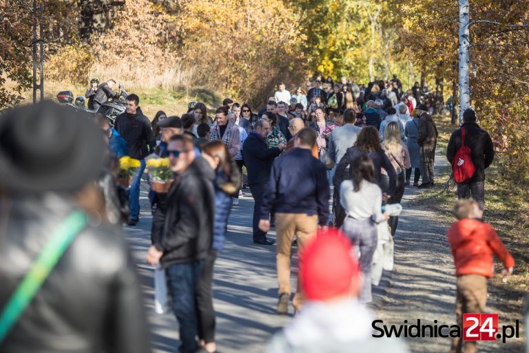 Wszystkich Świętych. Świdniczanie tłumnie ruszyli na cmentarze, trwają kwesty na rzecz schroniska [FOTO]