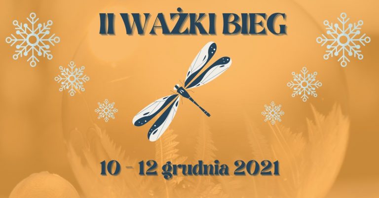Pomóż potrzebującym! W grudniu II Ważki Bieg