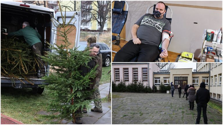 Oddaj krew i odbierz świąteczne drzewko. Akcja „Choinka dla życia” również w Świdnicy [FOTO]