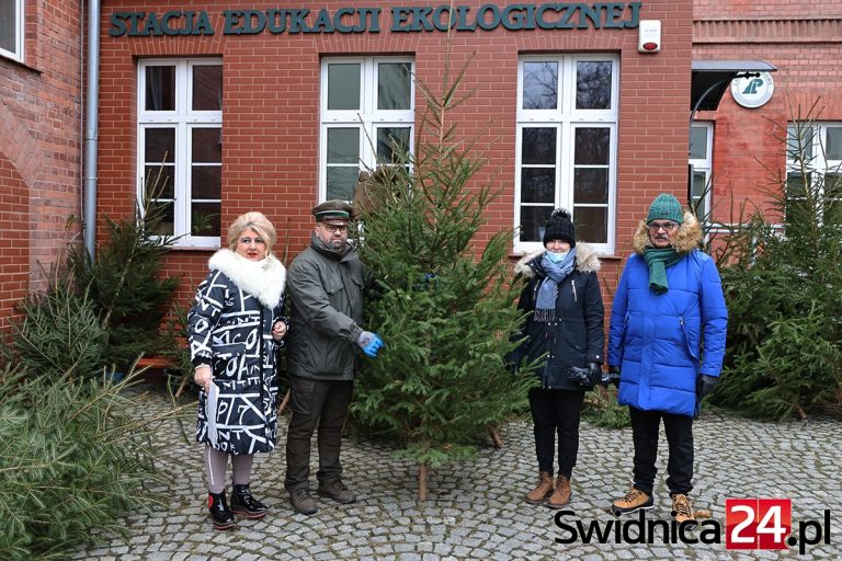 Choinki dla świdnickich emerytów i rencistów