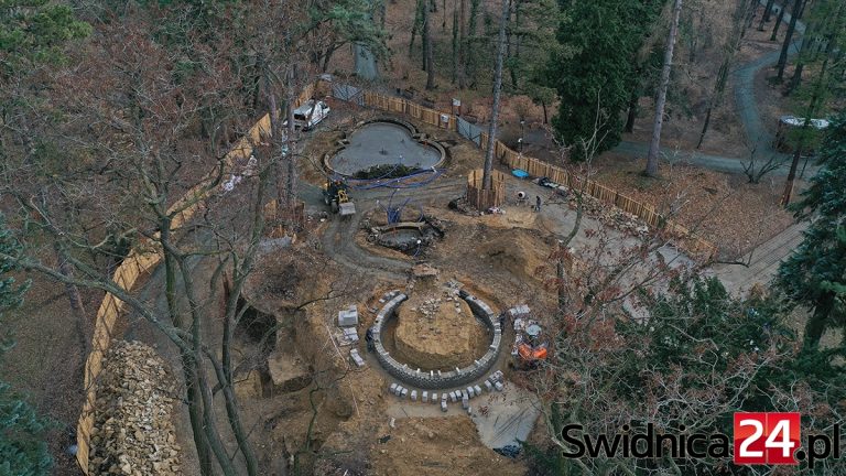 W 2022 roku do Parku Młodzieżowego powinna wrócić urokliwa altana. Zobacz postęp prac [FOTO]