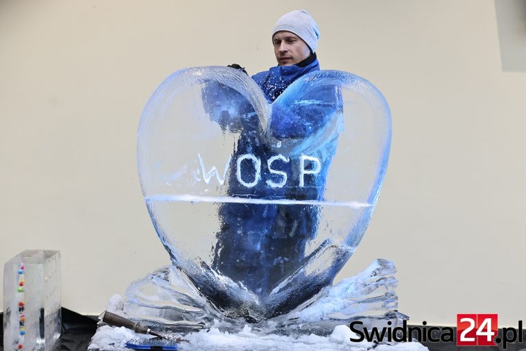 Lodowa Kraina, ale serca gorące. Galeria Świdnicka Gra z WOŚP [FOTO]