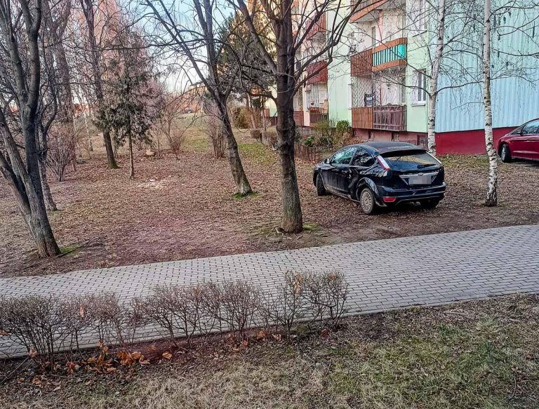 Mistrzowie parkowania [FOTO]
