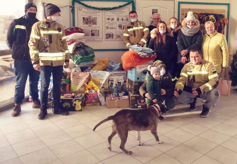Wielkie serca strażaków z OSP w Jaworzynie Śląskiej. Zebrali mnóstwo darów dla zwierzaków! [FOTO]