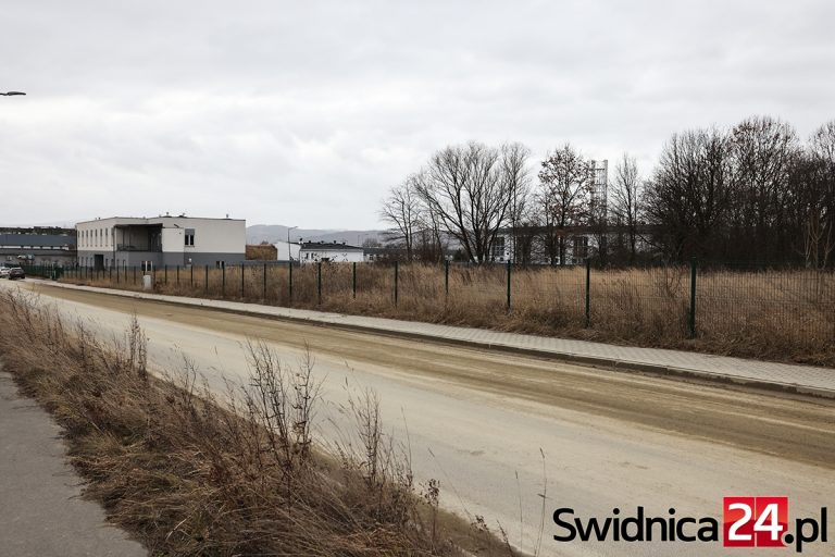 W Świdnicy powstanie trzecie schronisko dla bezdomnych. Radni widzą kolejne kłopoty