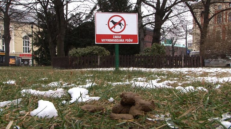 Przykre niespodzianki na chodnikach. Właściciele przestali być kontrolowani?