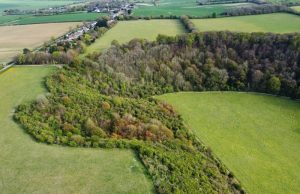 Jak kupić działkę w przetargu od gminy?