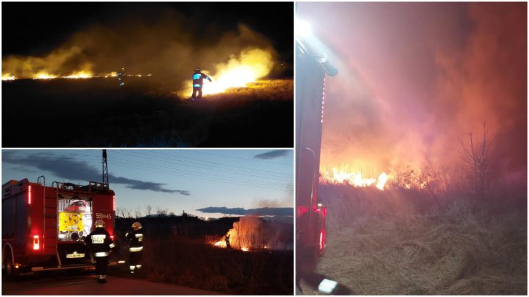 Strażacy walczą z plagą wypalania traw. W jednym przypadku pożar objął zabudowania gospodarcze [FOTO]