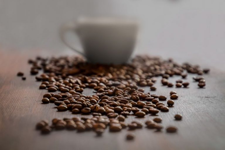 Arabica czy Robusta?