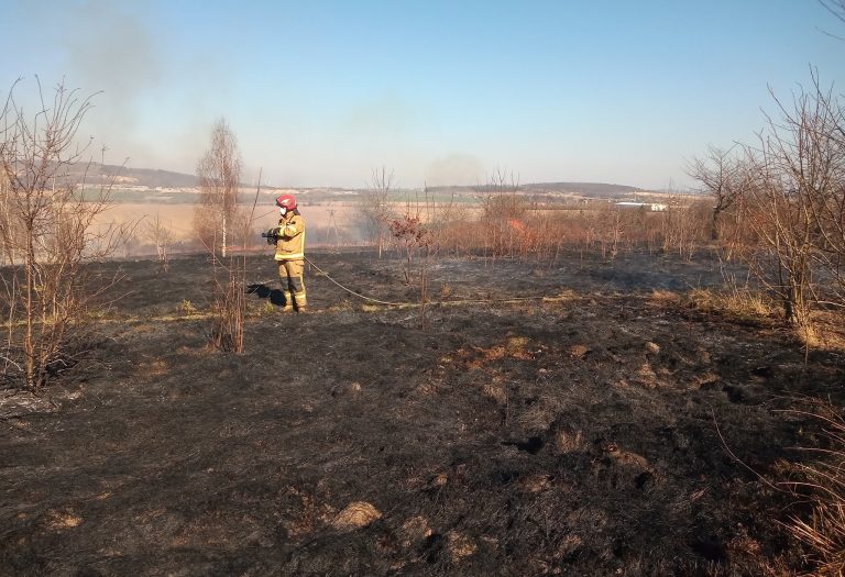 Świebodzice. Pożar nieużytków przy Granicznej
