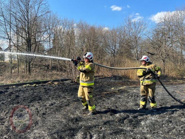 Plaga pożarów traw w powiecie. Od początku roku strażacy interweniowali już ponad 140 razy