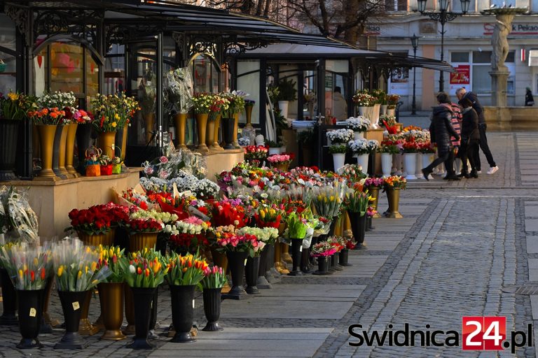 Słoneczna niedziela w Świdnicy [FOTO]