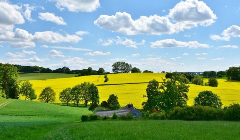 Księga wieczysta działki – o czym informuje?
