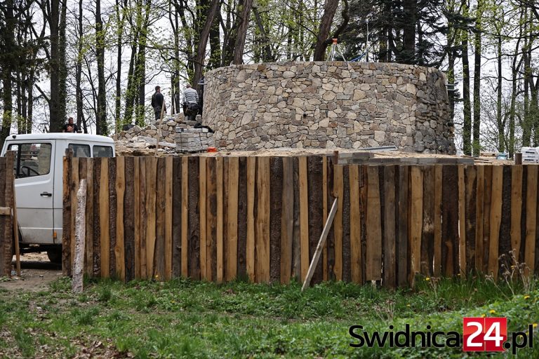 Ponad dwa miliony na dodatkowe nasadzenia i ścieżkę przyrodniczo-edukacyjną. Wybrano wykonawcę kolejnego etap prac w Parku Młodzieżowym [FOTO]