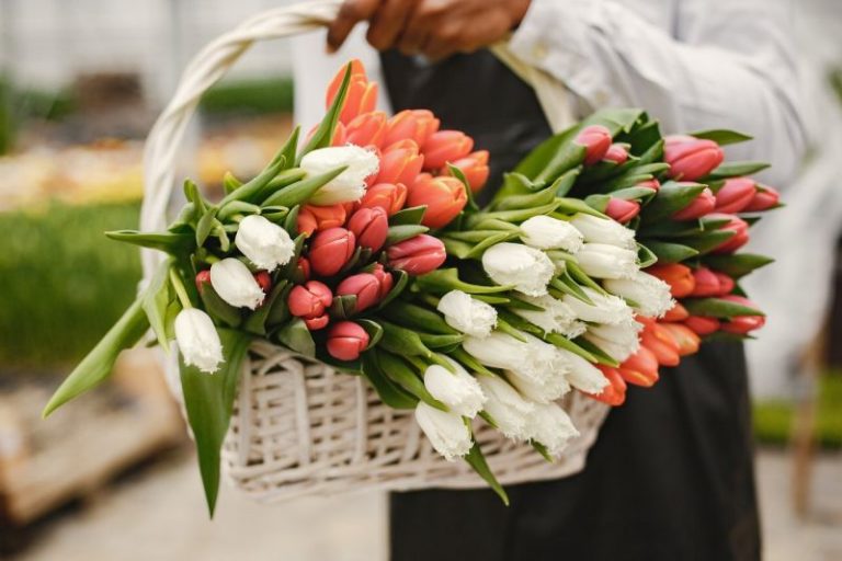 Czy kwiaty z okazji Dnia Matki to dobry pomysł na prezent?