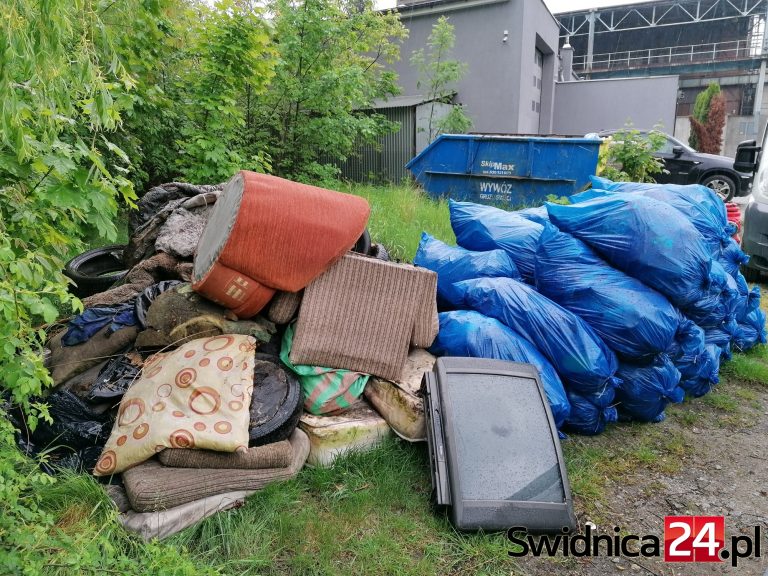 Urząd Miejski zaprasza na festyn ekologiczny „Czysta Świdnica”