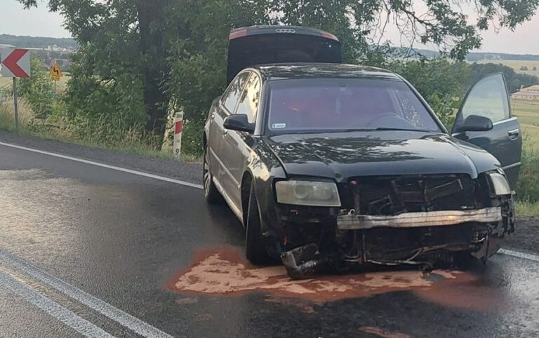 Rozbił samochód i dostał mandat