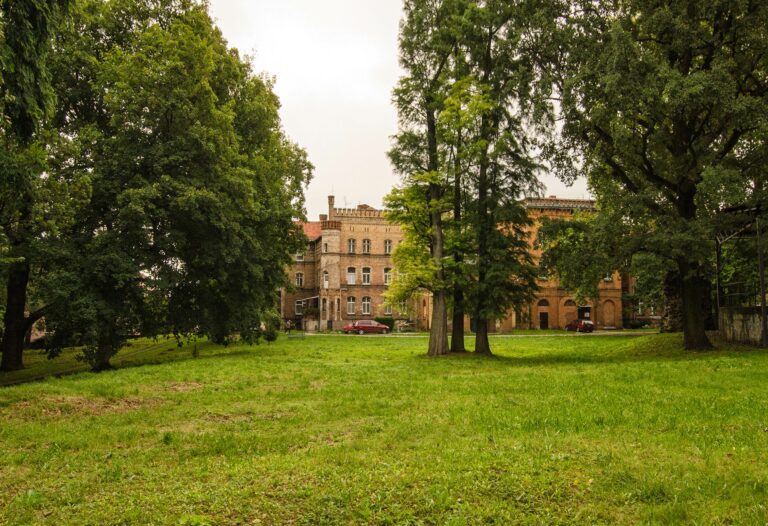Pięć milionów złotych na odnowienie parku i miejskiego stawu