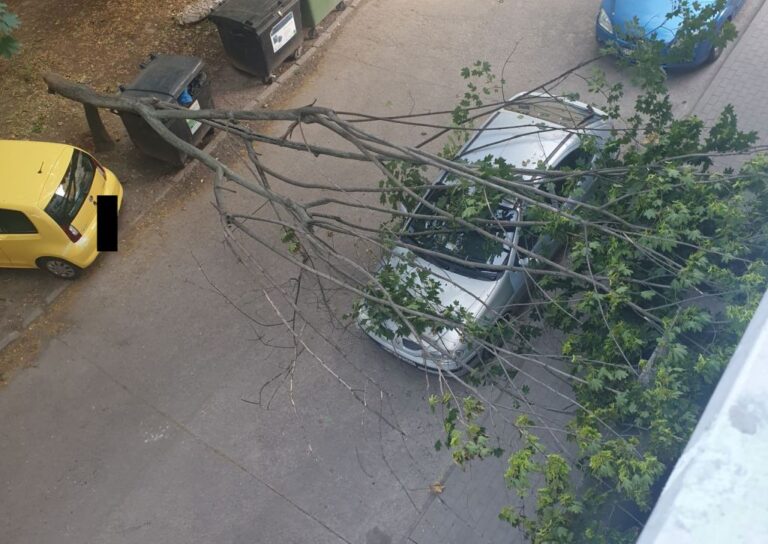 Spadło na samochód