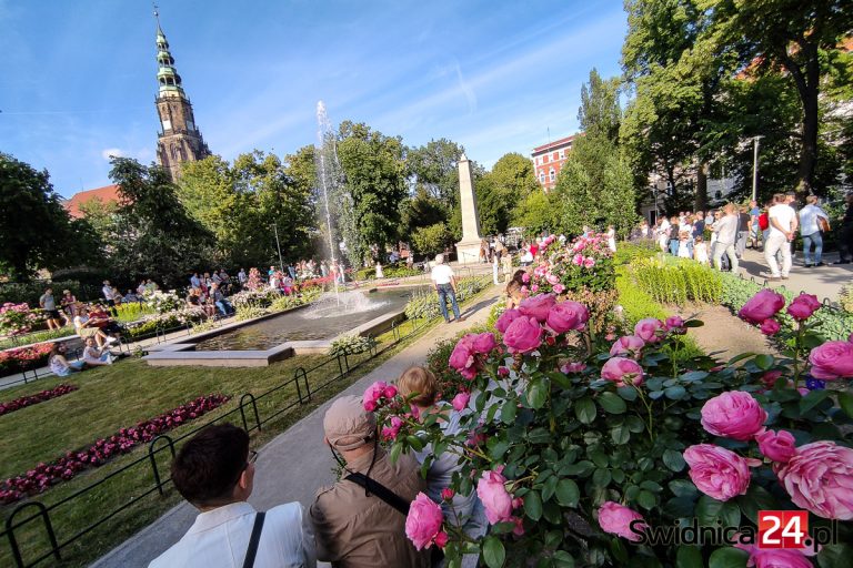 „Różany Ogród pachnący dźwiękami”. Wyjątkowy koncert w malowniczej scenerii [FOTO/VIDEO]