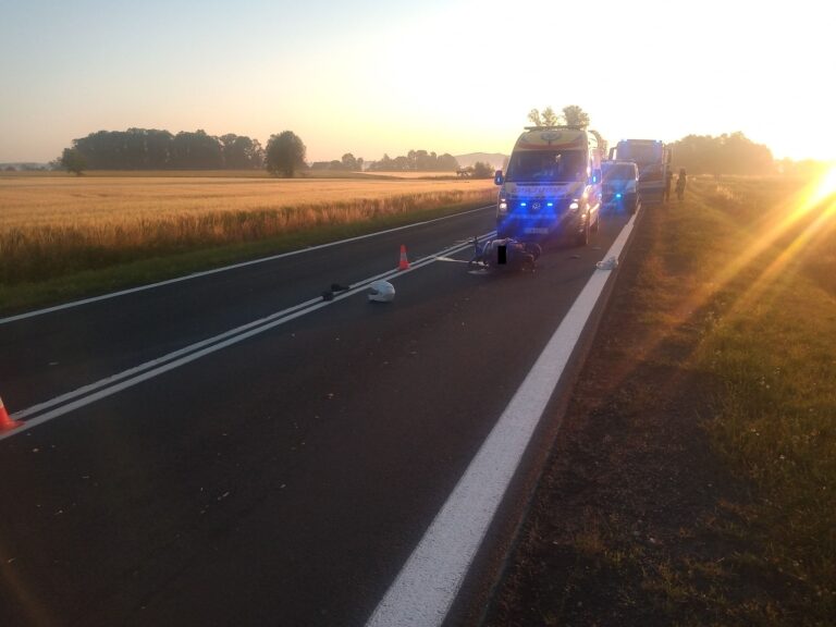 Motocyklista zderzył się z dzikiem