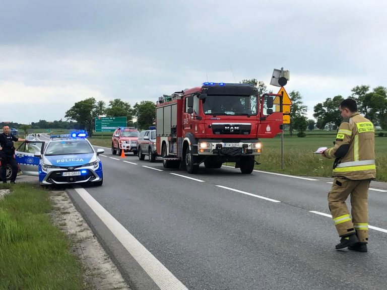 Mapa śmiertelnych wypadków poruszy wyobraźnię kierowców? Policja ponownie apeluje o bezpieczną jazdę w wakacje
