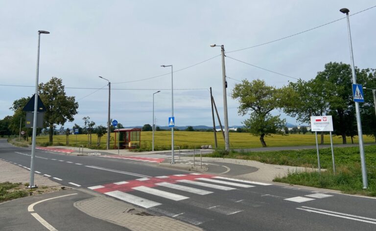 Bezpieczniej na przejściach dla pieszych i przejazdach rowerowych